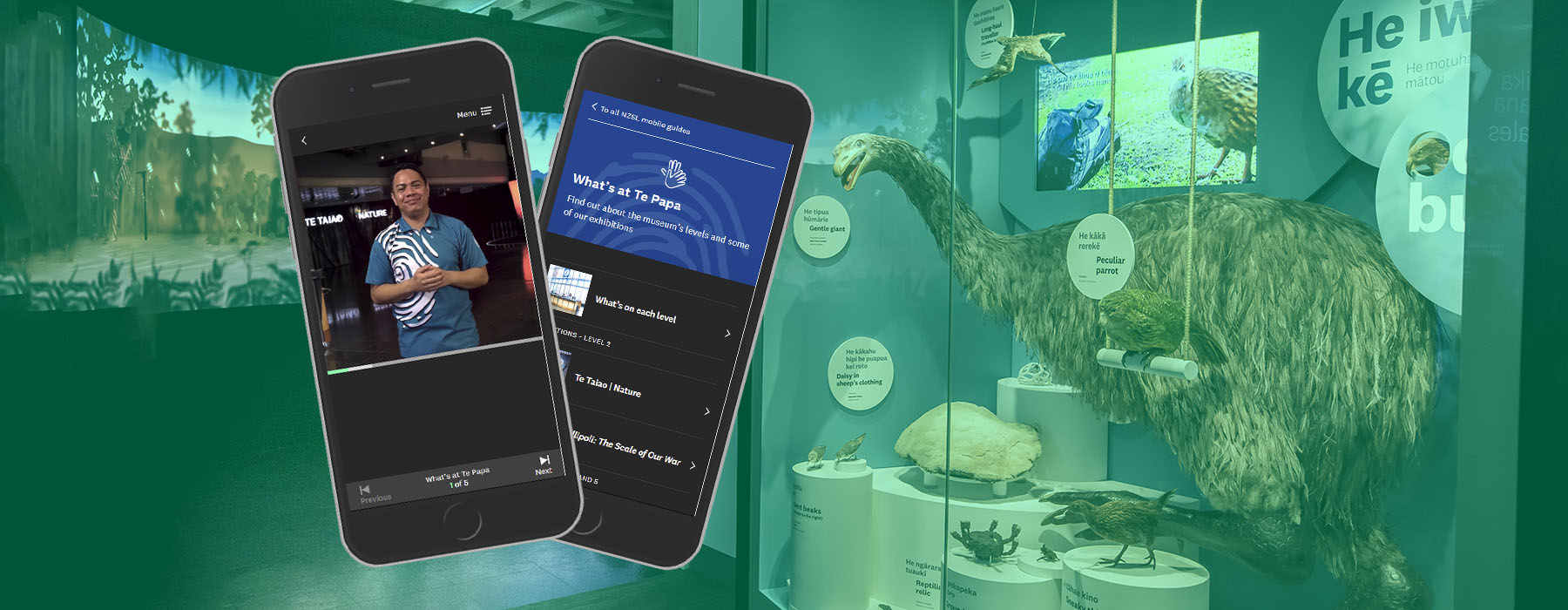 View of the entrance area of Te Taiao Nature, with a moa in a case on the right and a large projected animation on the left. Two phones are superimposed on top displaying the mobile guide