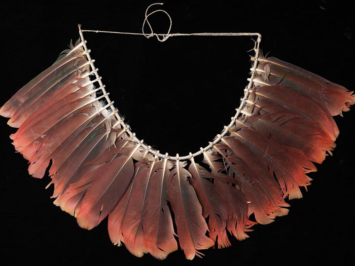 Gorget, Papua New Guinea, maker unknown. Gift of Mr J D Hutchin, 1948. Te Papa (FE003783)