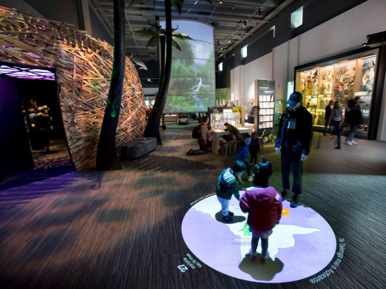 Te Taiao Nature, 2019. Photo by Maarten Holl. Te Papa (136447) Children are standing on a projected map of the world whila an adult looks on.