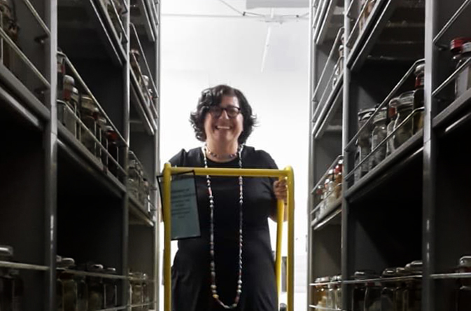 A woman standing on a step ladder at the end of a row of shelves with fish specimens in jars on the shelves.