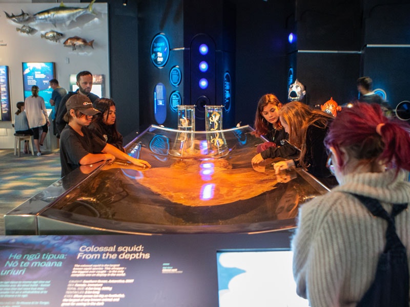 The colossal squid in Te Taiao | Nature, 2019. Te Papa The colossal squid on display with children looking into the tank