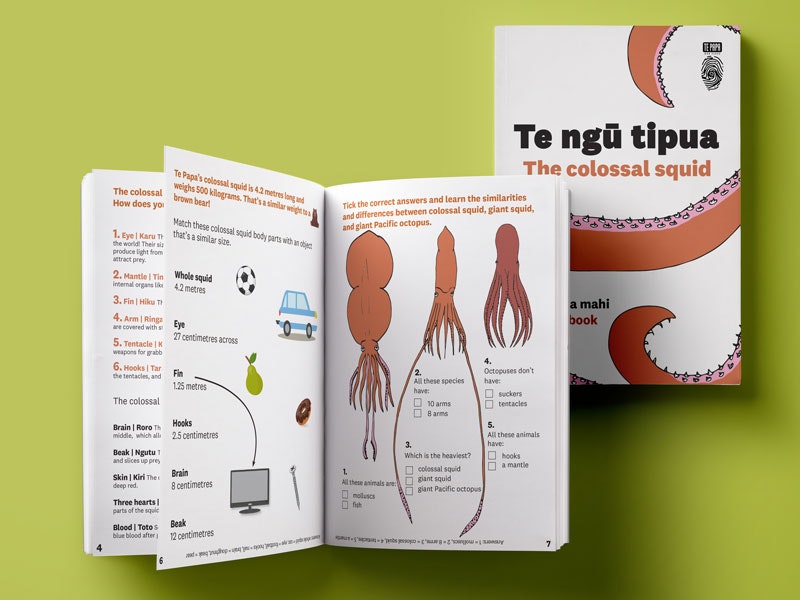 The colossal squid activity book, 2019. Te Papa The inside of an activity book