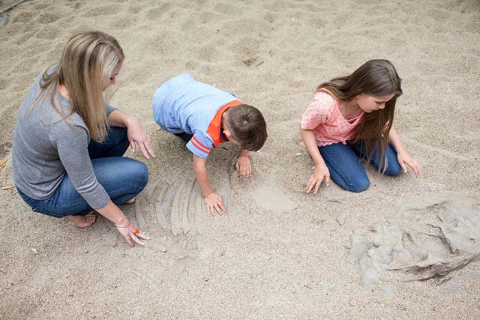 Family in the Fossil Dig, 2015. Photograph by Michael Hall. Te Papa