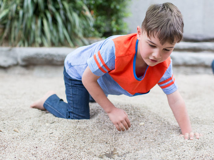 Family in the Fossil Dig 05, 2015 Photographer Michael Hall, ©Te Papa