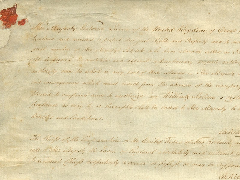 Detail of Te Tiriti ki Waikato-Manukau | Waikato-Manukau sheet, 1840. Archives New Zealand Te Rua Mahara o te Kāwanatanga (IA9/9 Sheet 3) Close up of the Te Tiriti ki Waikato-Manukau | Waikato-Manukau sheet, showing the beginning of the English text