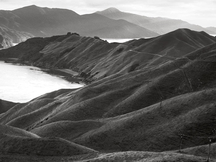 Te Kawau-a-toru (The pet shag of Kupe) French Pass, Marlborough, 2002 by Michael Hall