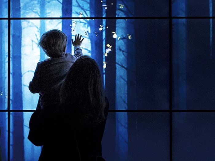 A child and his mother playing with an interactive firefly screen in the Bug Lab exhibition