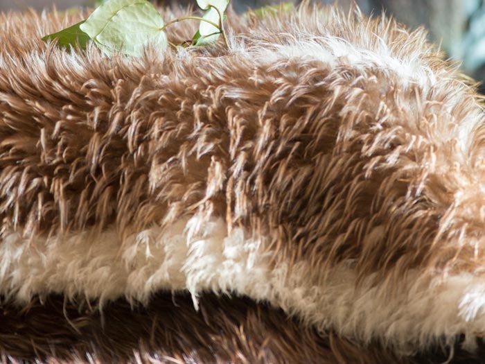 Repatriation ceremony, 2014. Photograph by Kate Whitley. Te Papa Repatriation ceremony, 2014. Photograph by Kate Whitley. Te Papa