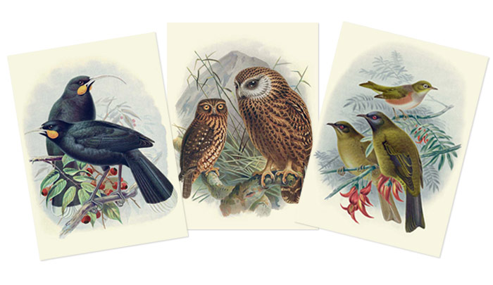 Buller’s Birds of New Zealand notebooks