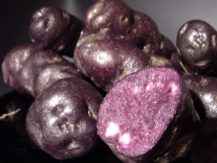 Tutaekuri. Image courtesy of Nick Roskruge. Tutaekuri. Image courtesy of Nick Roskruge.