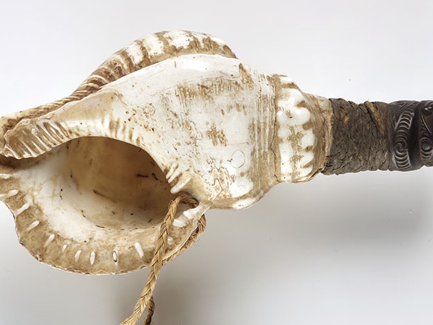 Pūtatara (shell trumpet), 1800–1900, Whanganui, maker unknown. Te Papa (ME003937) Shell trumpet