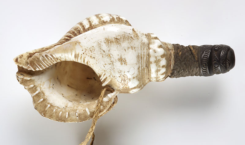 Shell trumpet