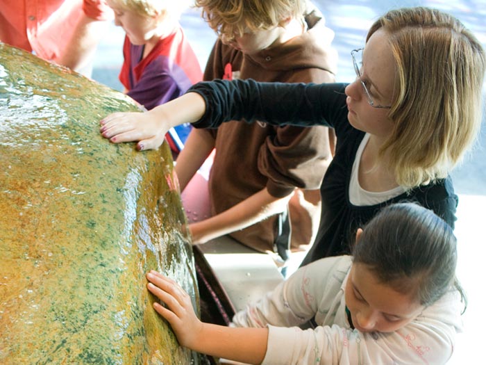 Pounamu in Te Marae, 2009. Photograph by Michael Hall. Te Papa