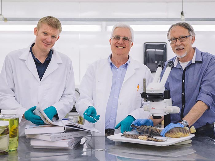 Te Papa's fish team