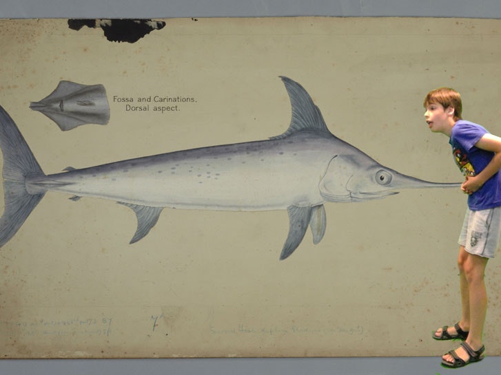 06-luke-gibbs-impaled-on-a-fish.jpg =""