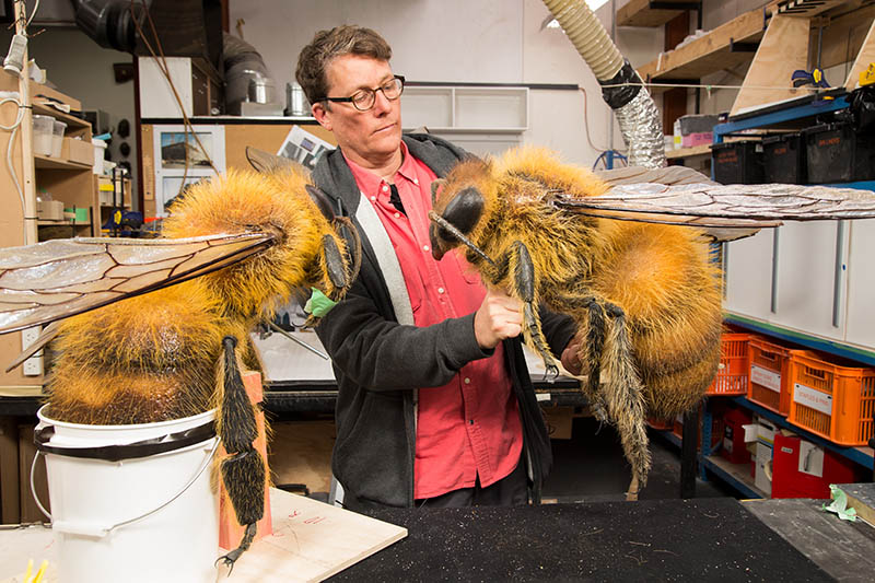 Richard Taylor tends to the bees