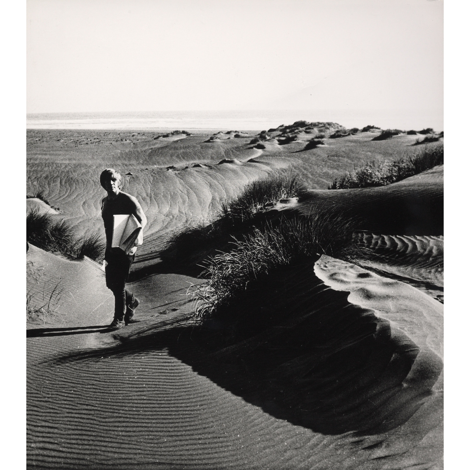 Sand dune scene