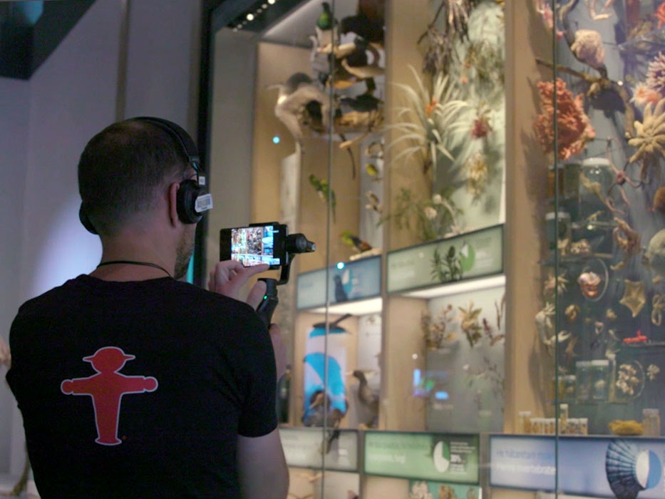 Virtual Excursions, 2020. Te Papa A man holds films a museum display on his phone, he's wearing headphones