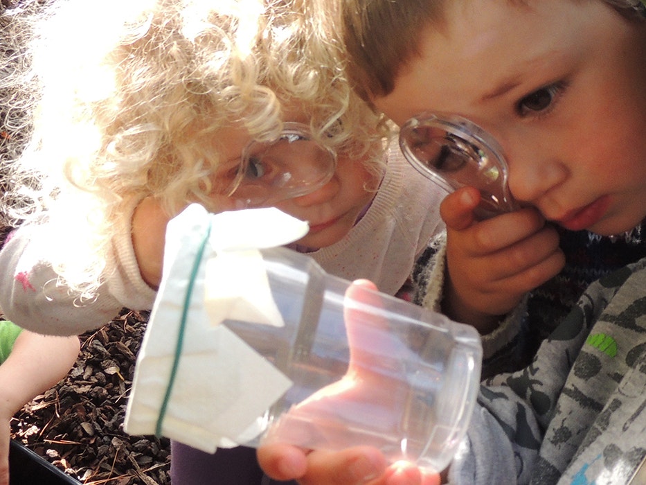 Young children using a magnifying glass to look at bugs, 2015. Te Papa Young children using a magnifying glass to look at bugs