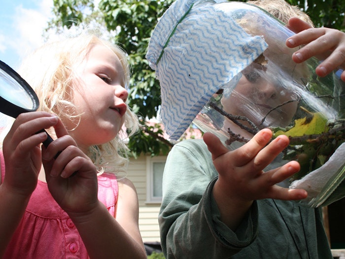 Gazing at insects, 2015. Te Papa Young children look at insects in a jar
