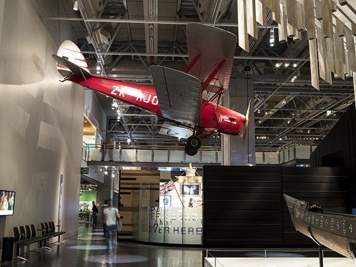 Tiger Moth, 2017. Photograph by Michael O'Neill. Te Papa