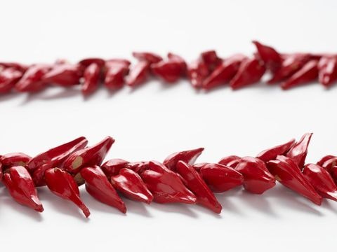 ‘ulafala (pandanus key necklace), plant material. Te Papa (FE013200) Red pandanus seed pods joined together and shown in two rows on a white background