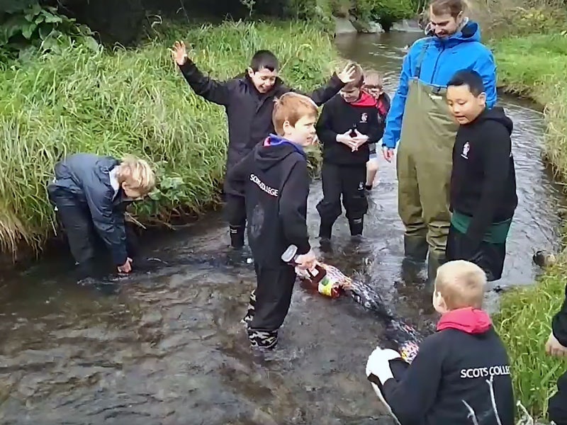 Scots College cleaning a river, 2018. Te Papa School kids cleaning a river of plastic