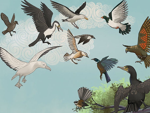 bird-battle-800.jpg =""