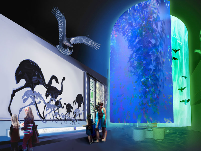 Artist’s impression of Te Papa’s new natural environment exhibition, 2017. Te Papa