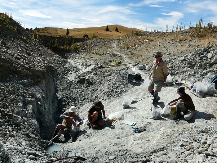 Team excavating at St Bathans, February 2012. Photograph by Alan Tennyson. Te Papa Group of people excavating