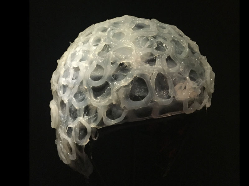 kakapo ejaculation helmet