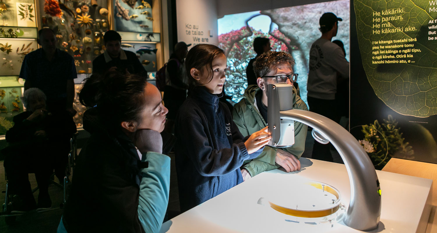 A family looking at bugs under a microscope