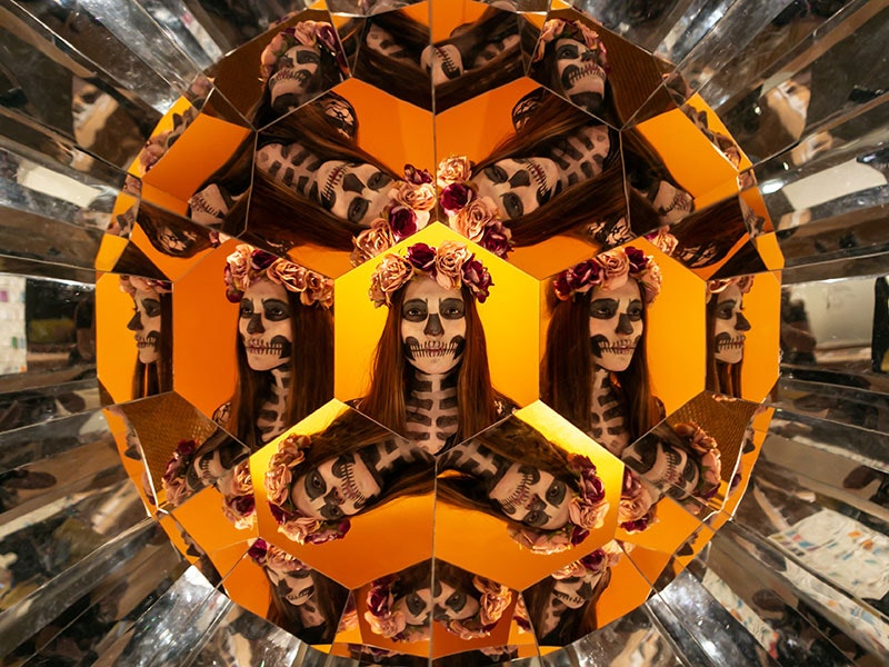 Curious Creatures After Dark, 2018. Photo by Jo Moore. Te Papa (124044)