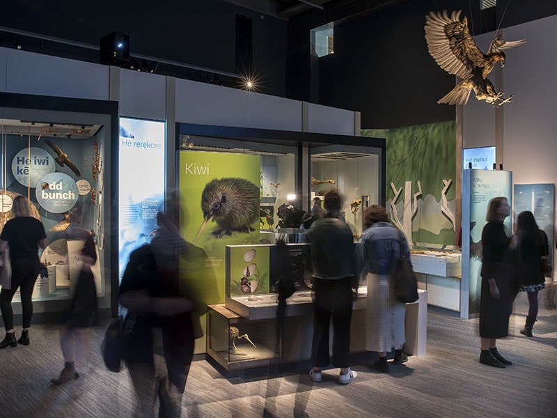 Te Taiao | Nature media preview, 2019. Photo by Maarten Holl. Te Papa te-taiao-800x600.jpg