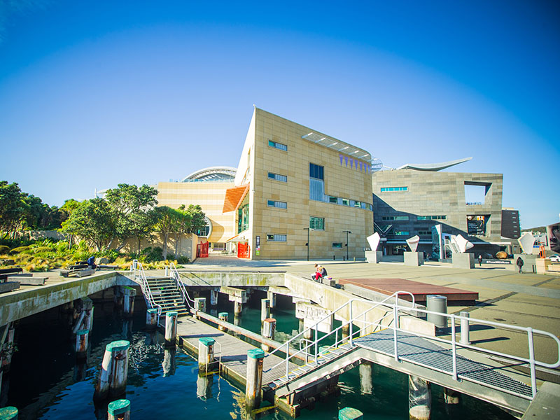 View of Te Papa building from the side, on a sunny day, showing the green trees of Bush City behind it and people sitting in the marina in front