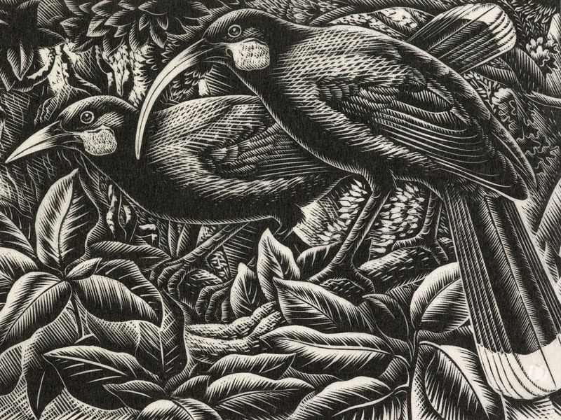 Nga huia, 1949, Wellington, by E Mervyn Taylor. Gift of the New Zealand Academy of Fine Arts, 1950. Te Papa (1950-0015-6) huia-e-mervyn-taylor-tepapa-800x600.jpg