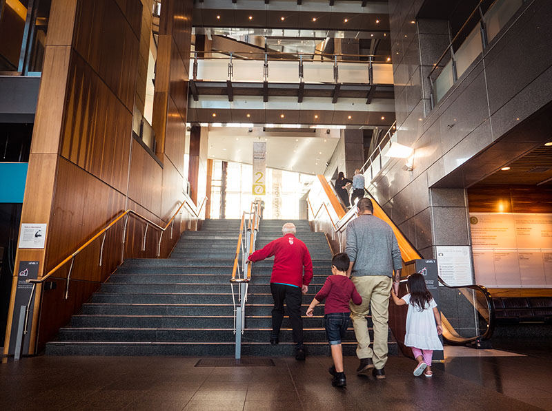 A Te Papa Host guided a man and two small children up the stairs to the main foyer of Te Papa