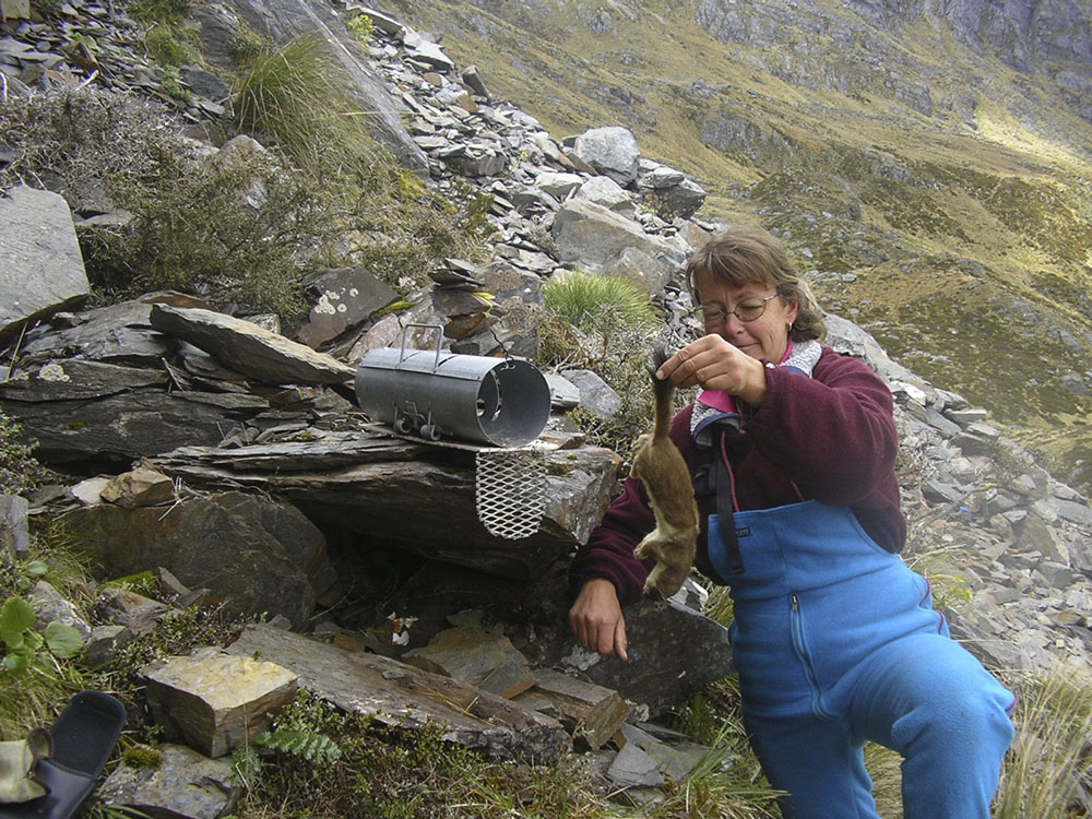 woman holding a stoat by the tail on the side of a mountain