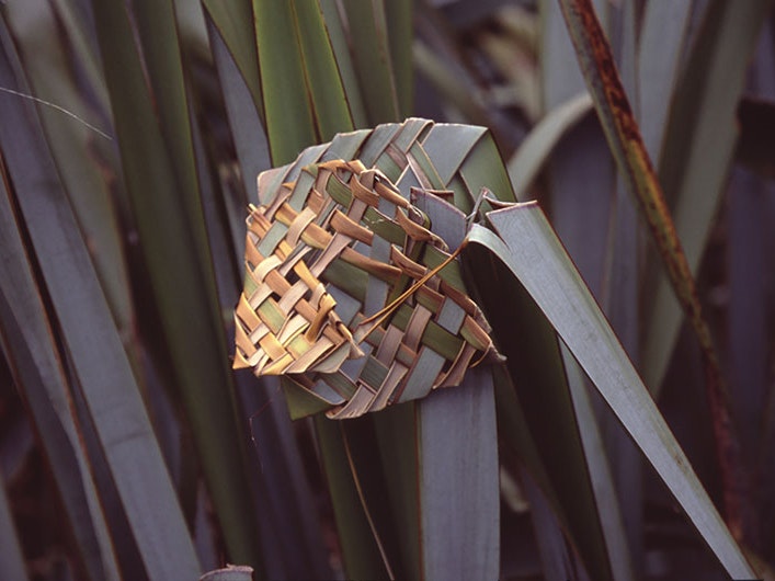 Flax Weaving, Truman Track, Punakaiki Pancake Rocks, Paparoa National Park, South Island, New Zealand, 2003, 13 May 2003, by Terry Feuerborn, via Flickr. CC BY-NC 2.0 Photo showing flax still attached to plant, weaved into what appears to be a fish design