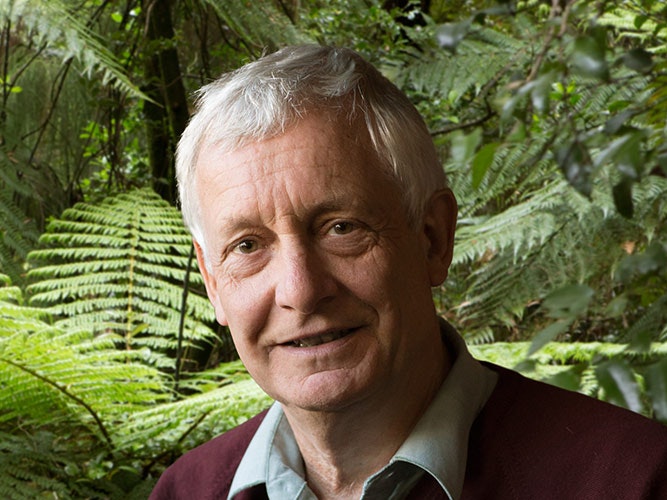 pat-brownsey_0.jpg Pat Brownsey