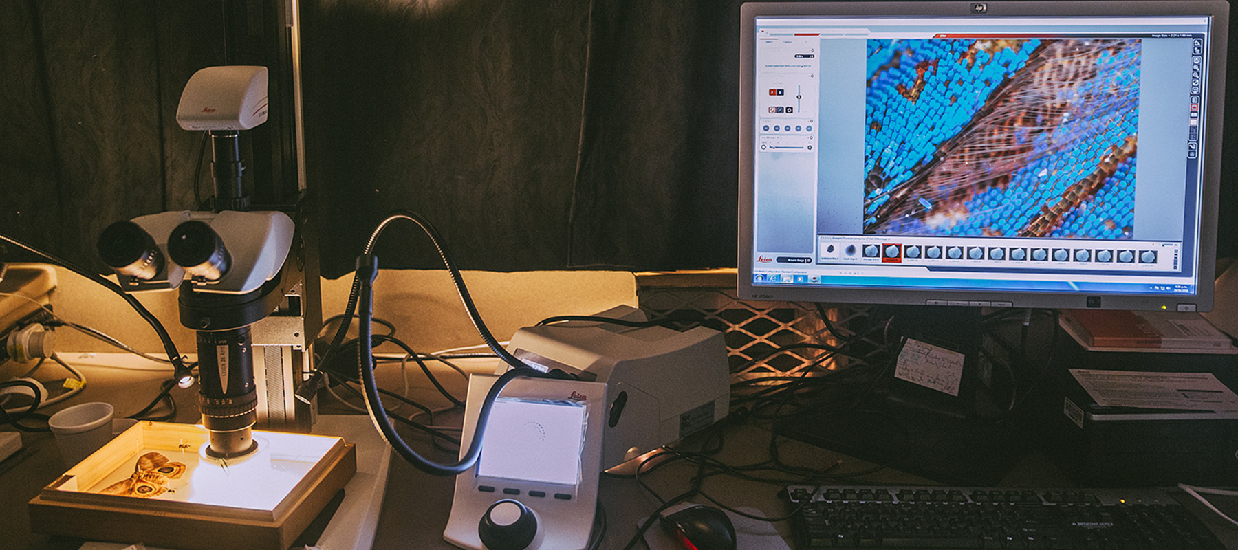 A photo of a dark room with a macroscope and a computer screen