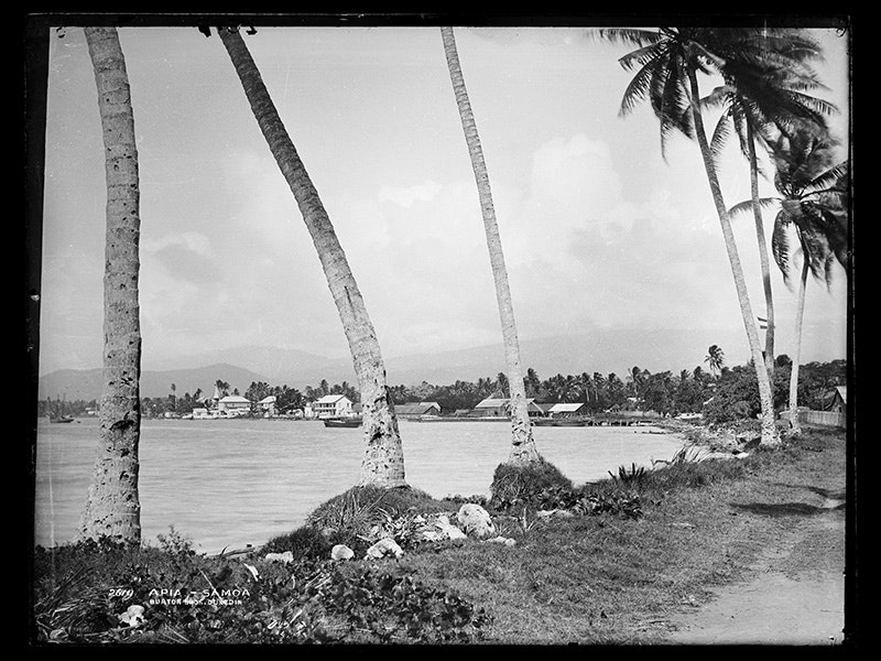 Apia, Samoa, July 1884, New Zealand, by Burton Brothers studio, Alfred Burton. Purchased 1943. Te Papa (C.016550) A black and white photo of a Pacific island beach with palm trees