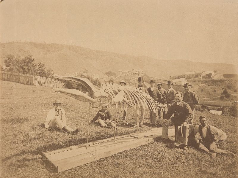 Photo of the director of the Colonial Museum Sir James Hector on a collecting expedition