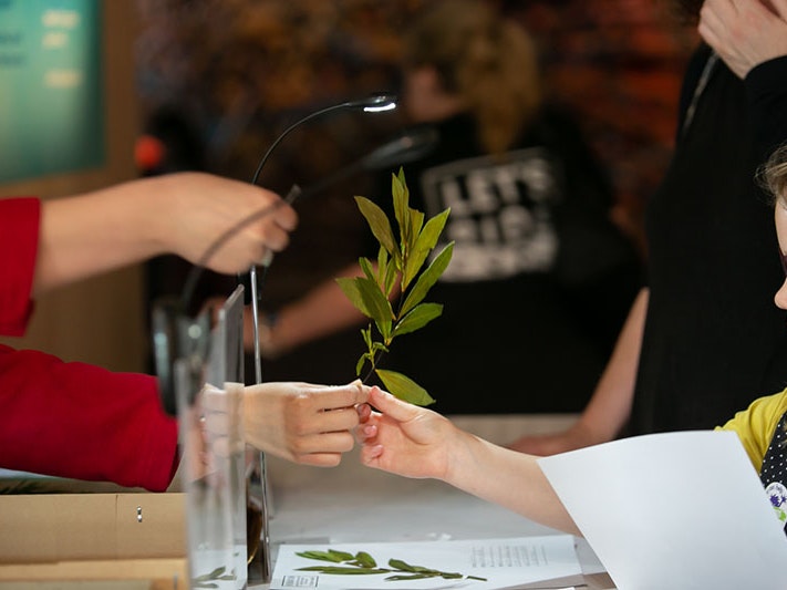 Te Taiao | Nature Whānau Day: All About Plants!, 2019. Photo by Jo Moore. Te Papa A girl looks at a plant being given to her