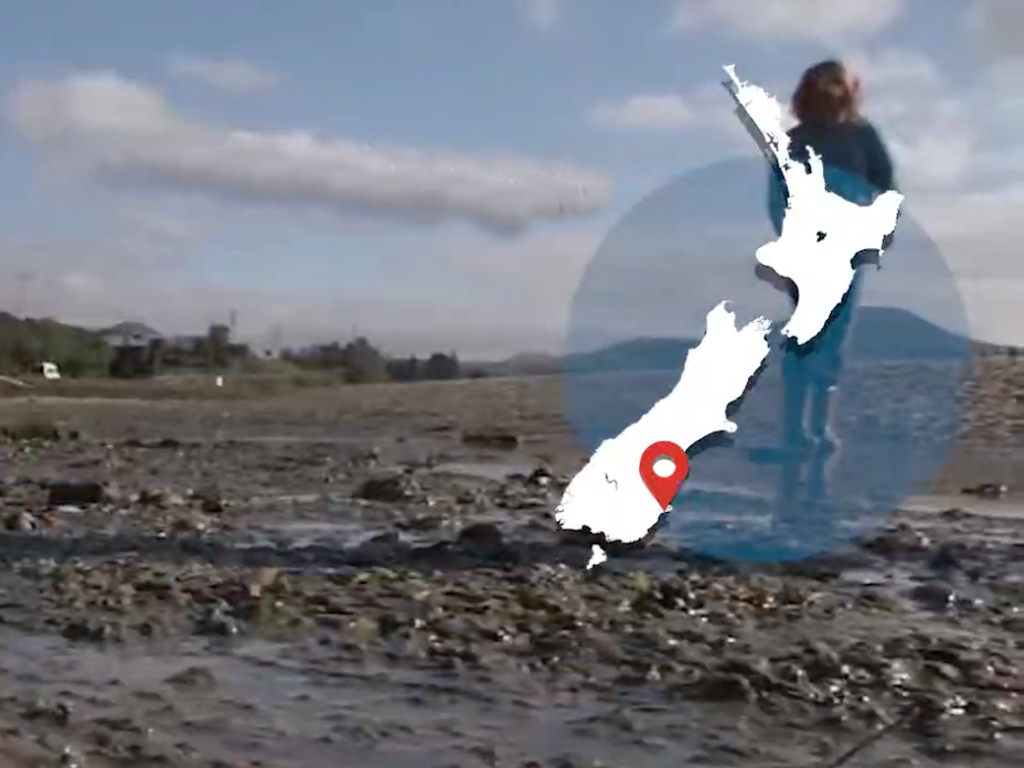 beach_life_survey_-_karitane_school_and_mm2_dunedin.png A photo of a beach with a map of New Zealand overlayed on it