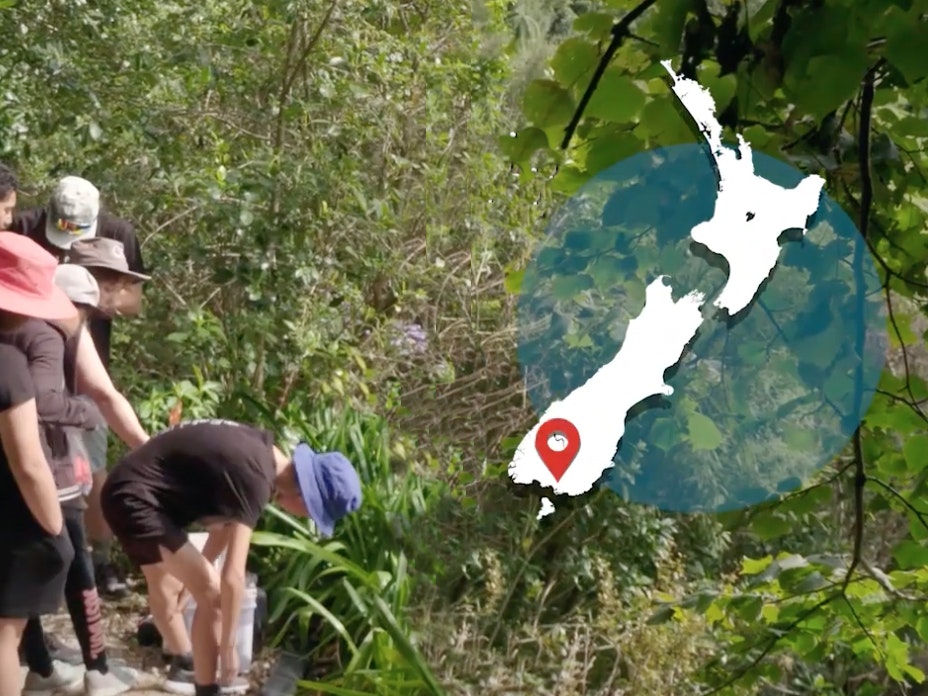 Video still from Counting moths, Invercargill. Te Papa Children bending over a bucket in the bush, there's a map of New Zealand overlaid in the top right-hand corner