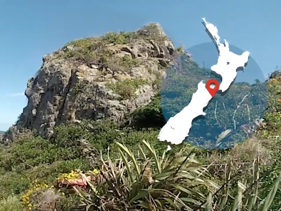Video still from Mena the penguin detective, Kaikōura. Te Papa A sunny day with a large rock covered in plants in the foreground. There's a map of New Zealand overlaid on the image on the top right-hand side.