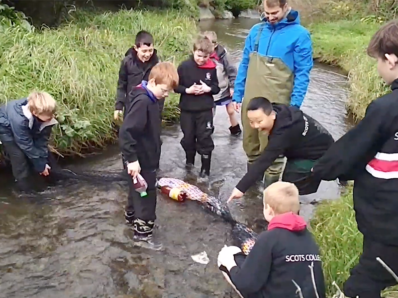 clearing_plastic_-_owhiro_stream_wellington.png