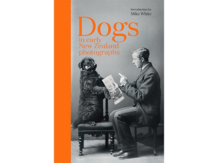 dogs_tile.jpg dogs_tile.jpg