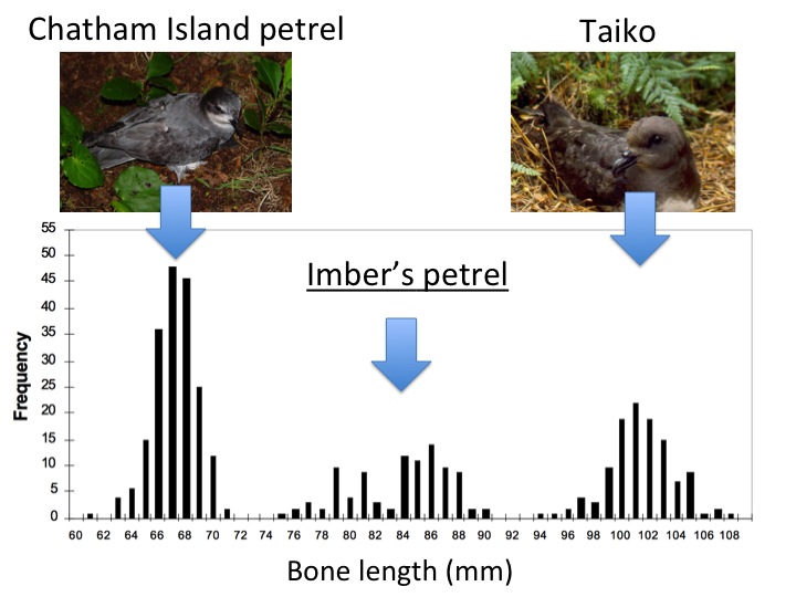 A graph with two birds on it and graphical data below